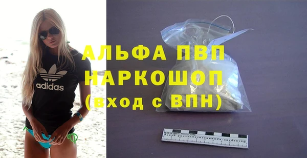 стафф Заводоуковск