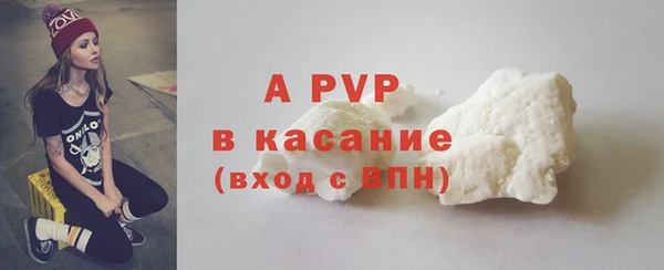 стафф Заводоуковск