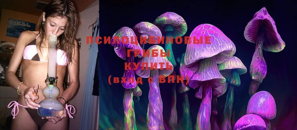 стафф Заводоуковск