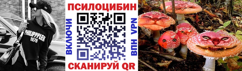 Псилоцибиновые грибы Cubensis  Теберда 